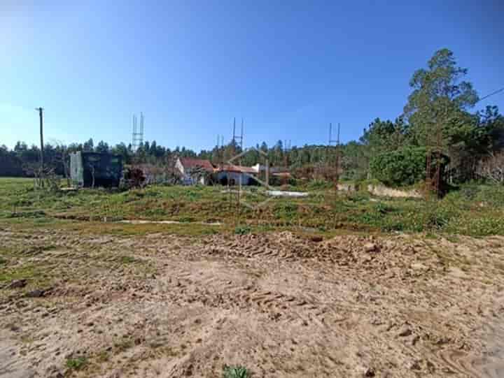 3 bedrooms house for sale in Benedita, Portugal