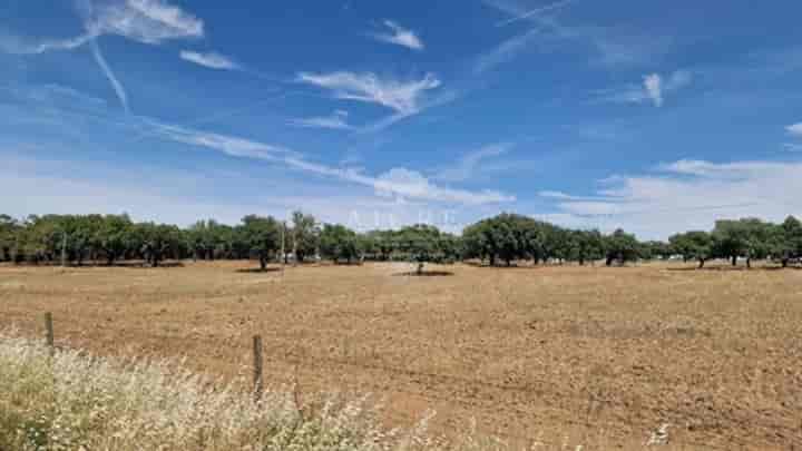 House for sale in Portel, Portugal