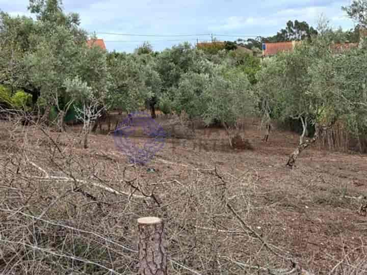 Other for sale in Alburitel, Portugal