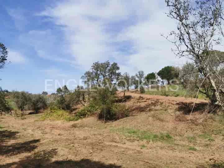 Other for sale in Melides, Portugal