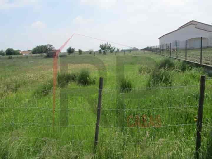 Other for sale in Poceirao, Portugal