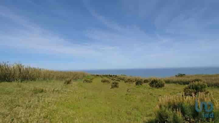 Other for sale in Boavista Dos Pinheiros, Portugal