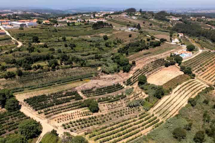 3 bedrooms house for sale in Usseira, Portugal