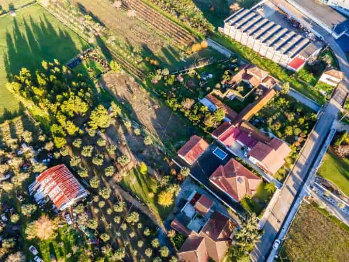 3 bedrooms house for sale in Cadima, Portugal