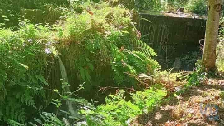 Other for sale in Sanfins De Ferreira, Portugal