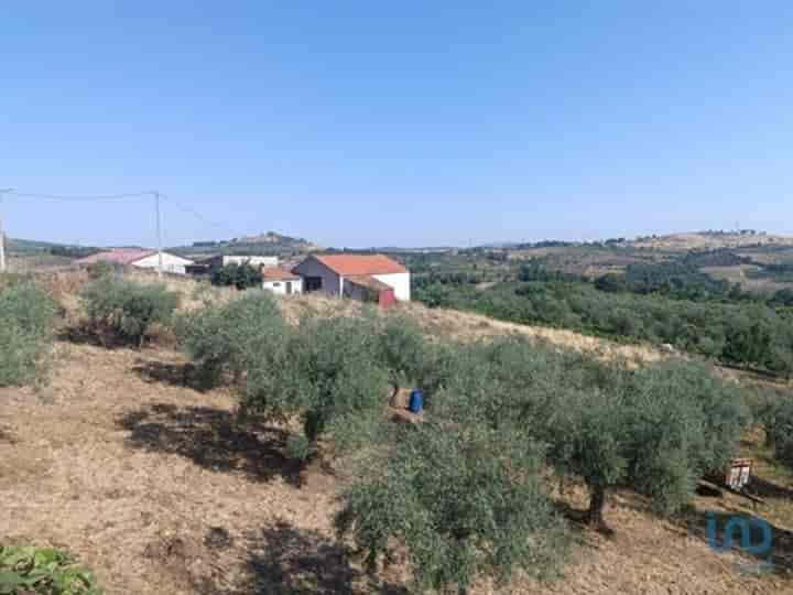 Other for sale in Lagoaca e Fornos, Portugal