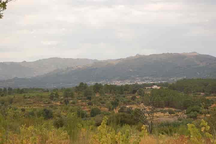 Other for sale in Vale De Prazeres, Portugal