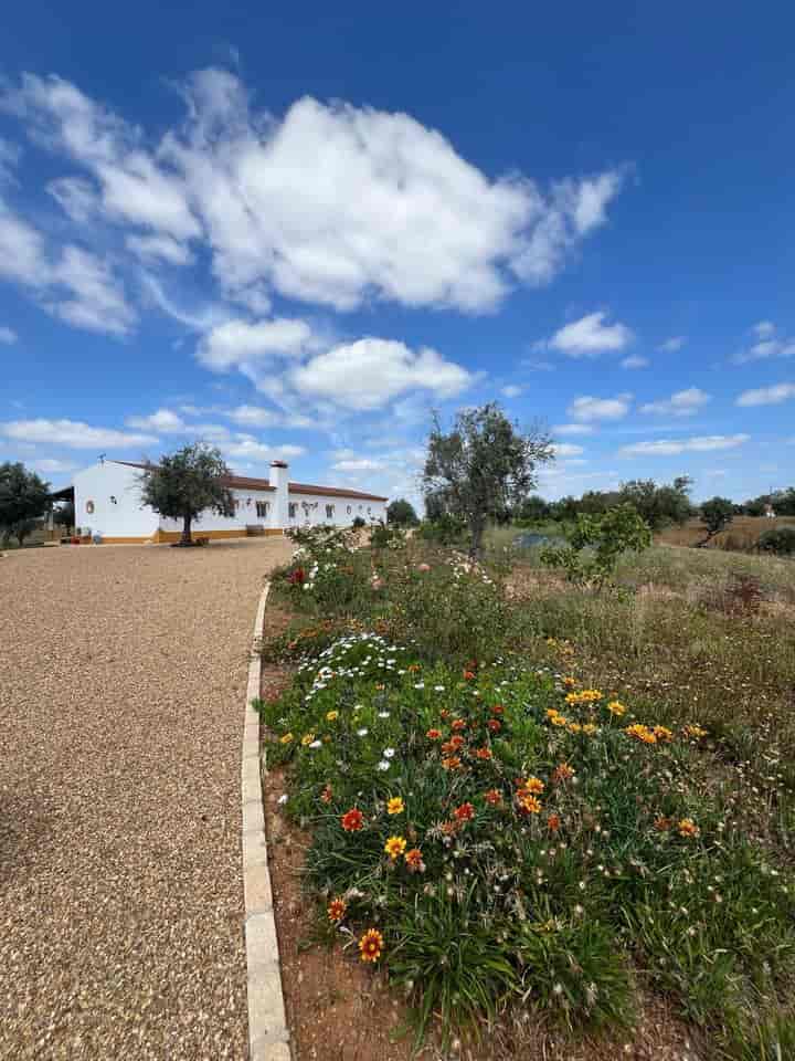 4 bedrooms house for sale in Ferreira do Alentejo e Canhestros, Portugal