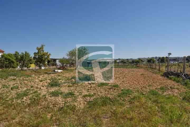House for sale in Aveiras De Cima, Portugal