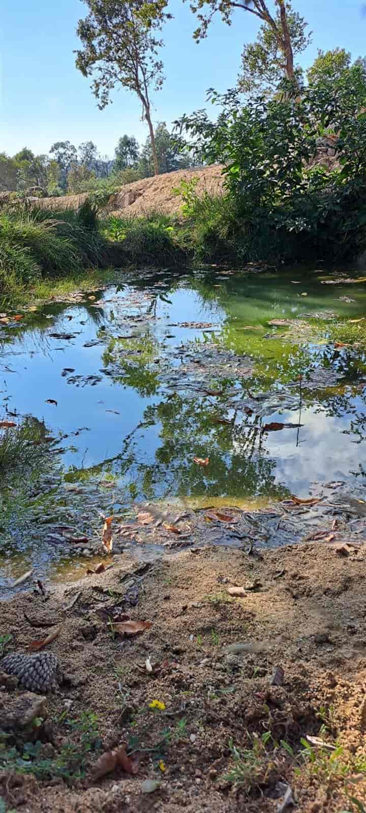 Other for sale in Candal e Carvalhais, Portugal
