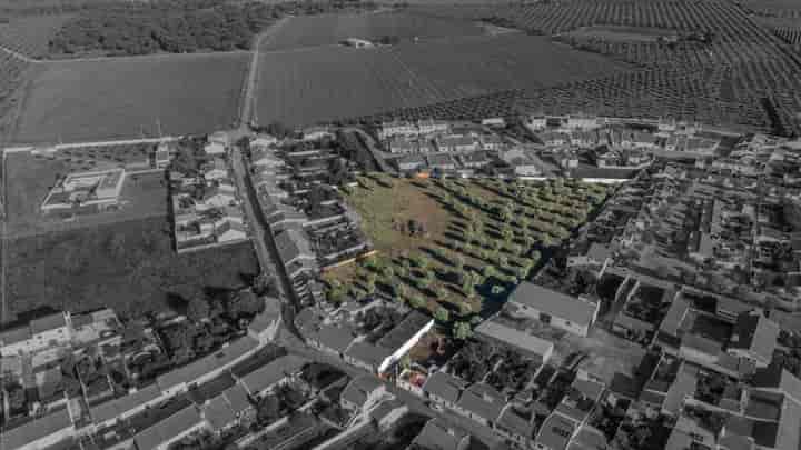 Other for sale in Casa Branca, Portugal