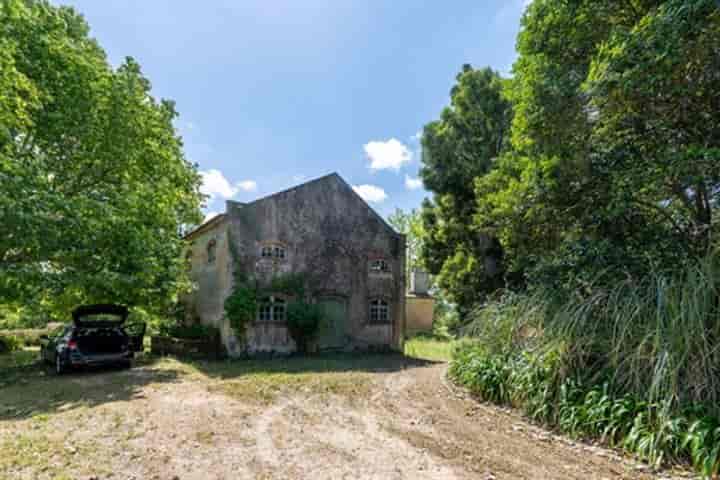 13 bedrooms other for sale in Carapinheira, Portugal