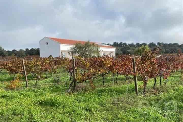 Other for sale in Vila De Frades, Portugal