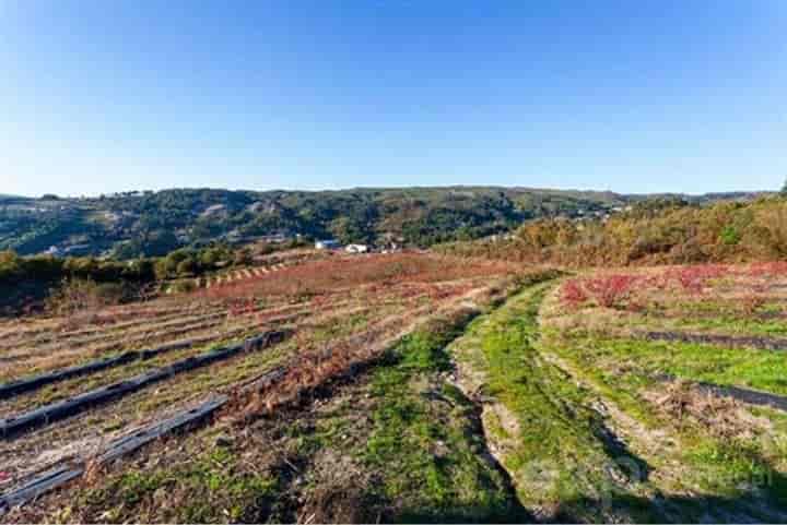 1 bedroom other for sale in Grilo, Portugal