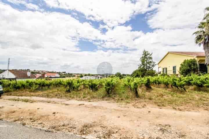 Other for sale in Vale De Santarem, Portugal