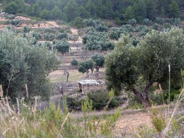 House for sale in Matarrana, Spain