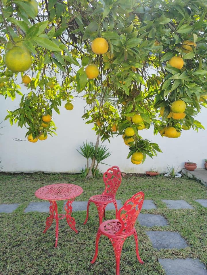 3 bedrooms house for sale in Azinhaga, Portugal