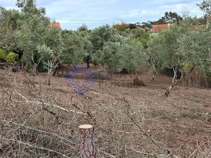 Other for sale in Alburitel, Portugal