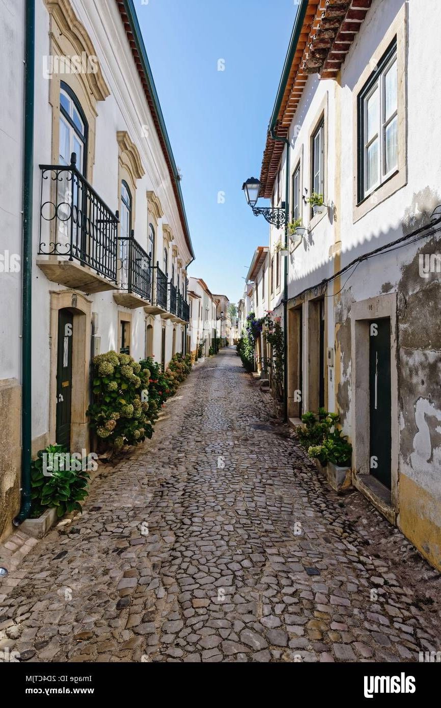 Pros and cons of living in Santarém - 14