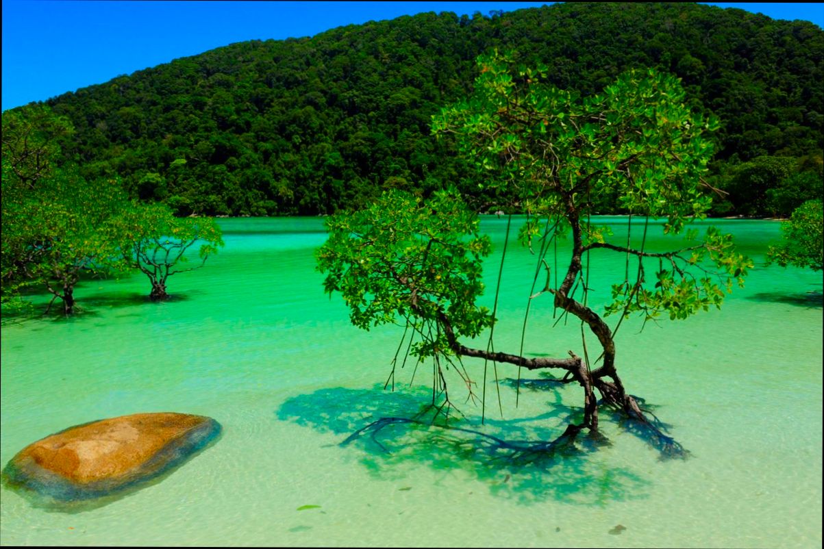 Best Places to Live in Asia for Remote Workers - 6