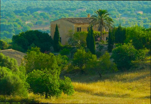 Buying a Farmhouse in Rural Spain Guide - 1