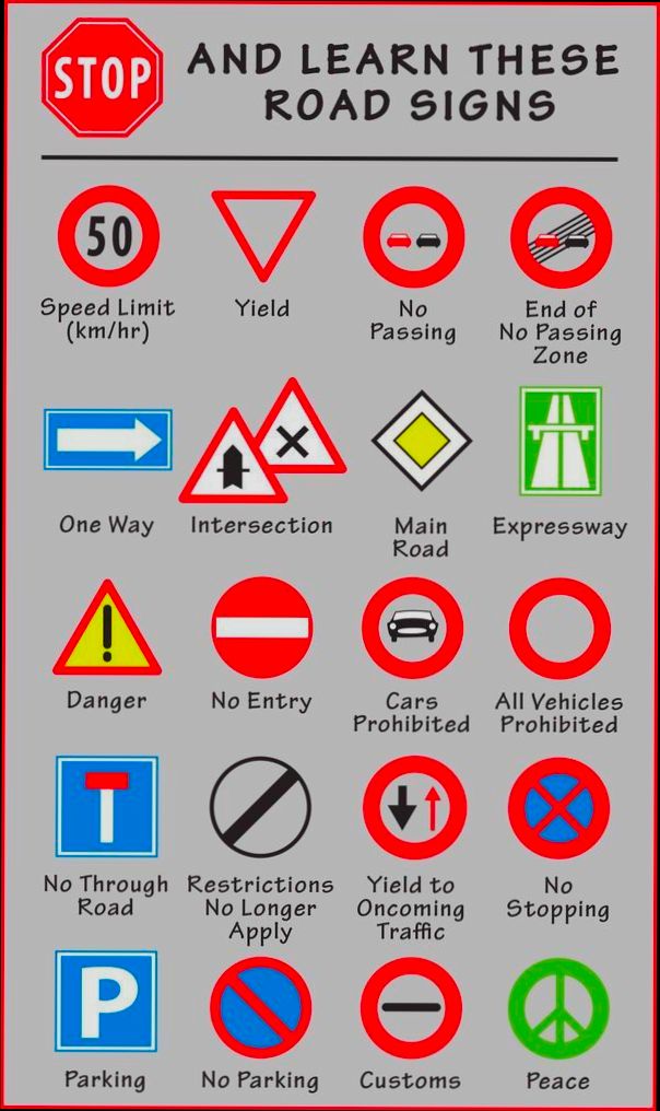 Driving Rules in Europe That You Need to Know preview