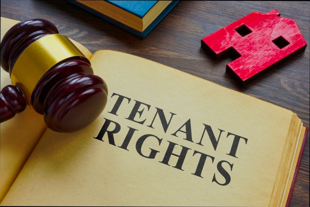 Guide to Property Rental Laws for Landlords in Spain - 1