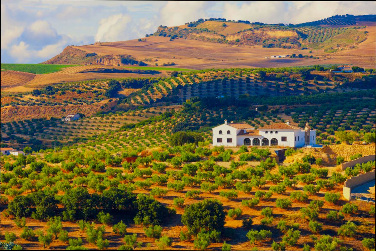 How to Buy Agricultural Land in Spain - 0