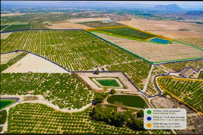 How to Buy Agricultural Land in Spain - 1