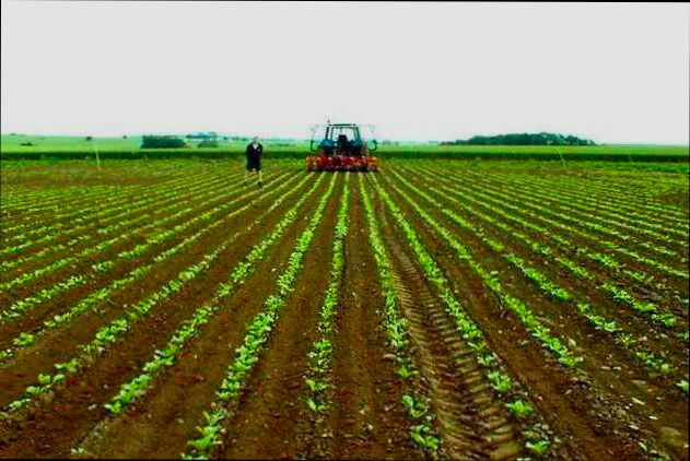 How to Buy Agricultural Land in Spain - 5