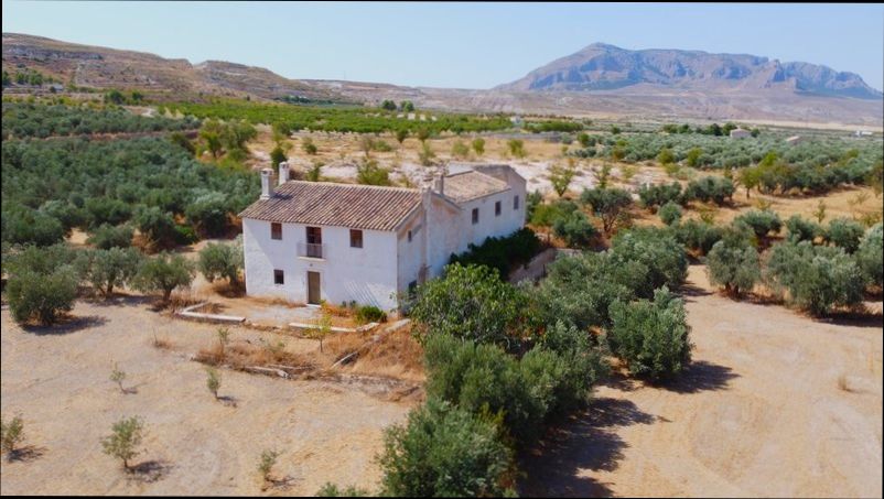 How to Buy Agricultural Land in Spain - 6