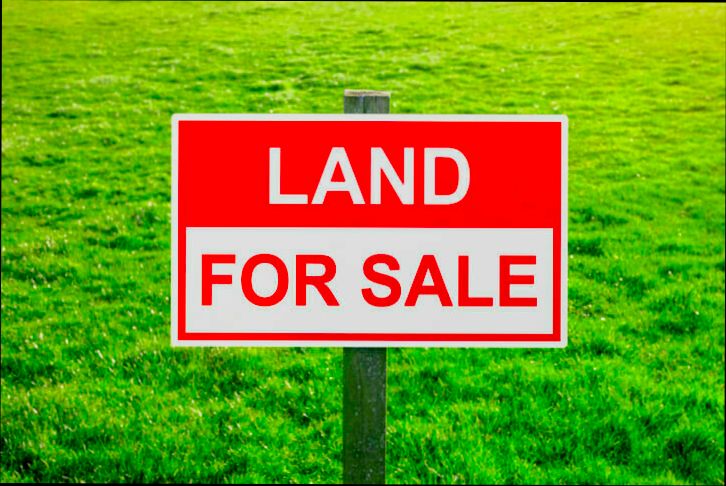 How to Buy Land and Build a House - 5