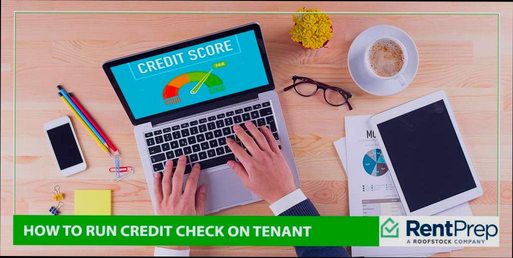 How to Run a Credit Check on a Tenant - 5