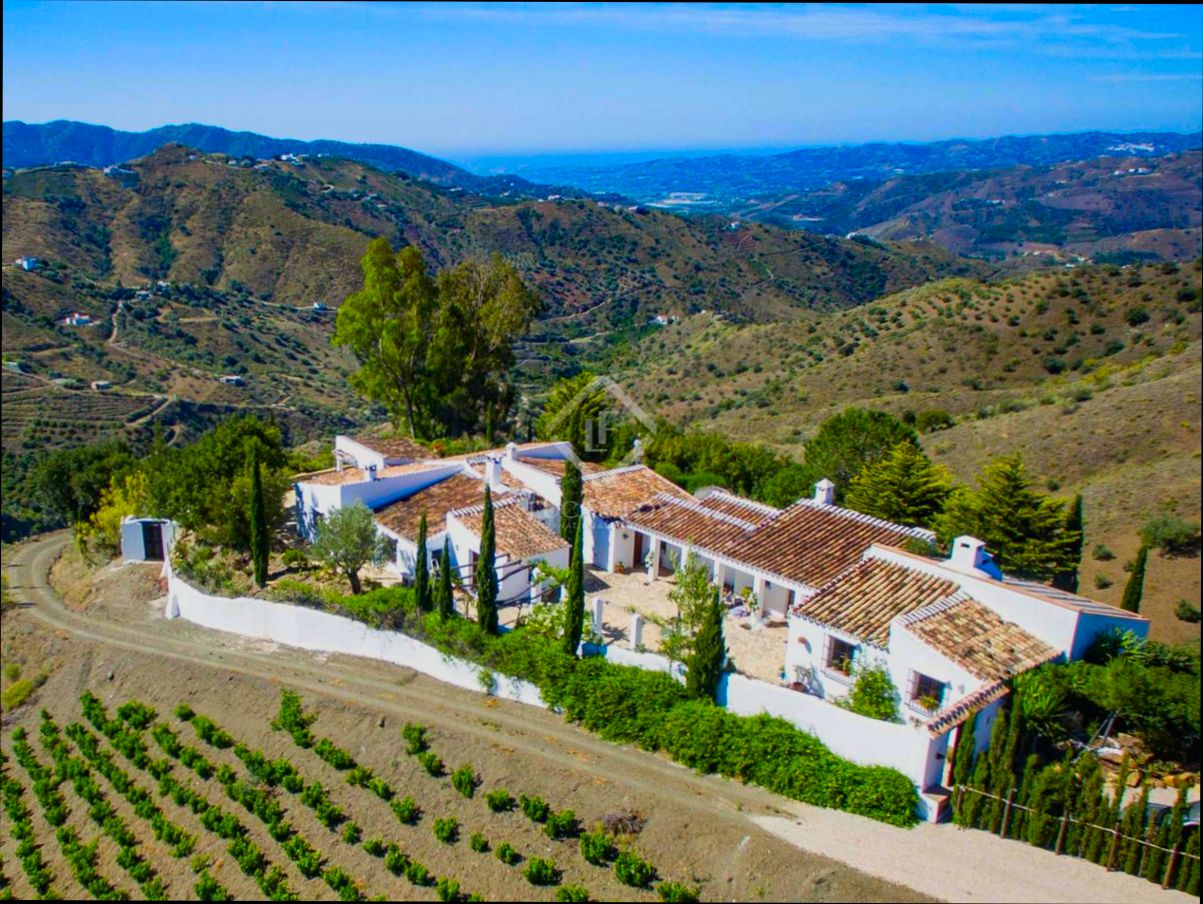 Is It Worth Buying a Property in Málaga - 1