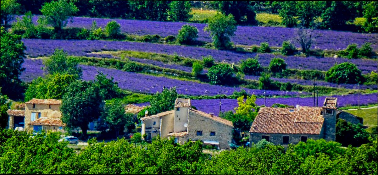 Pros and Cons of Living in Aix en Provence France as an Expat - 0