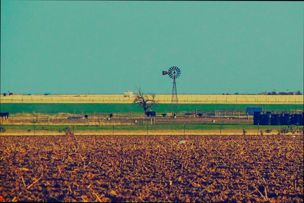 Pros and Cons of Living in Amarillo TX - 4