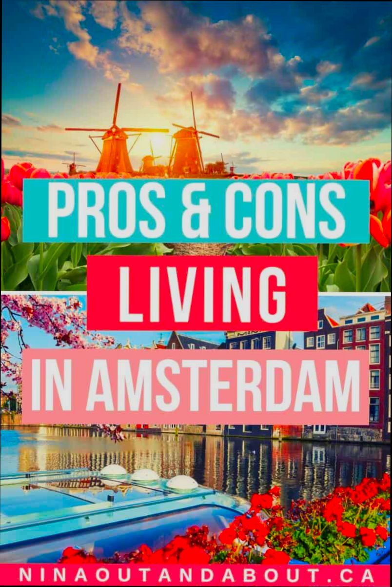 Pros and Cons of Living in Amsterdam preview