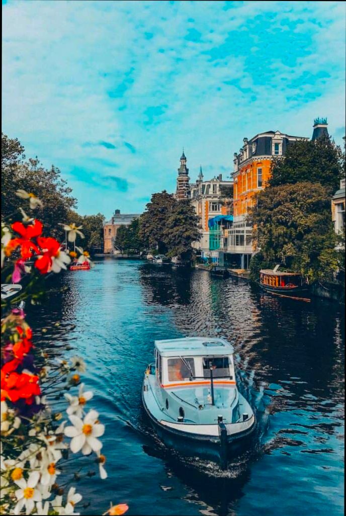 Pros and Cons of Living in Amsterdam - 0