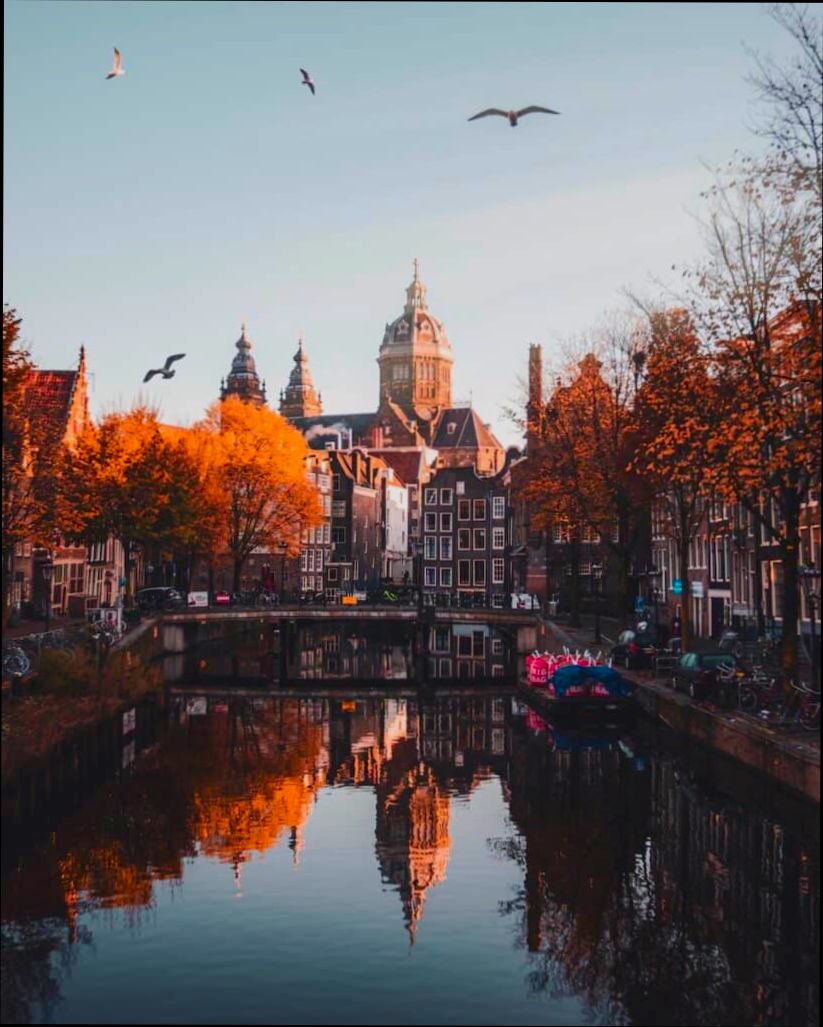 Pros and Cons of Living in Amsterdam - 6
