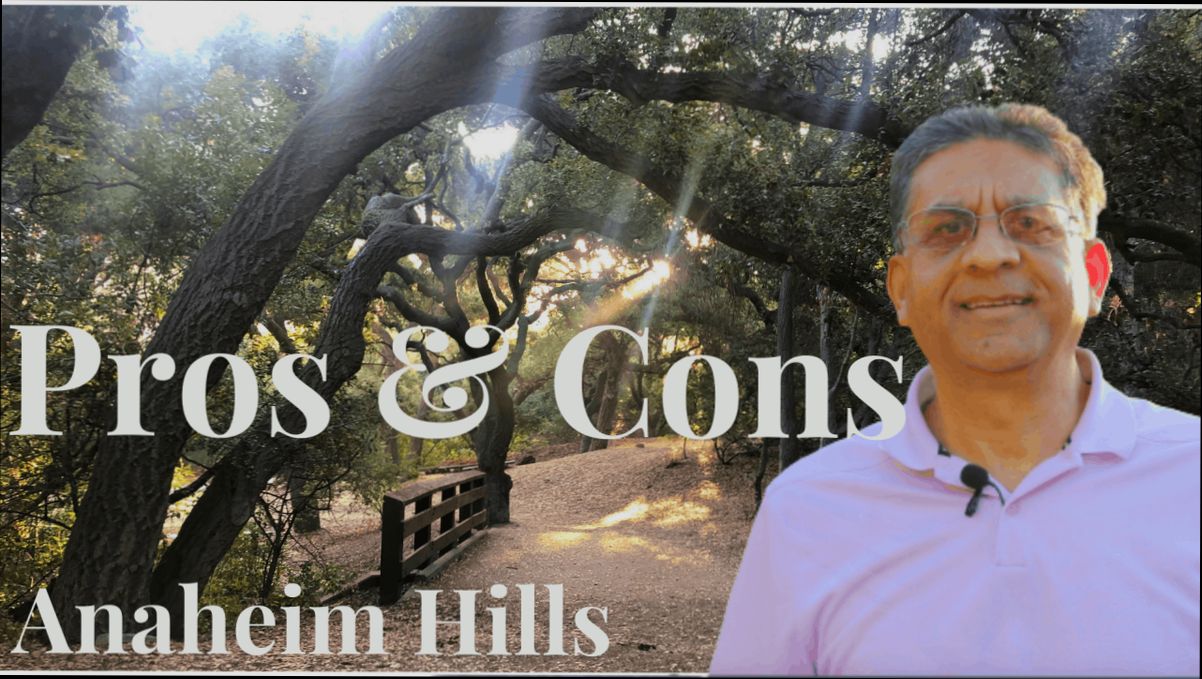 Pros and Cons of Living in Anaheim CA - 0