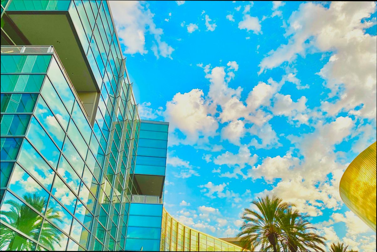 Pros and Cons of Living in Anaheim CA - 1