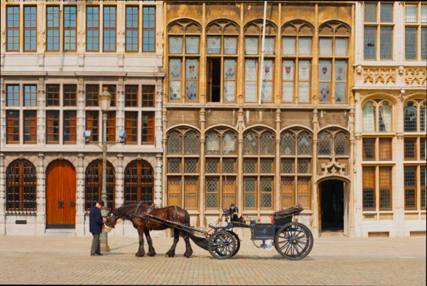 Pros and Cons of Living in Antwerp (Antwerpen) preview