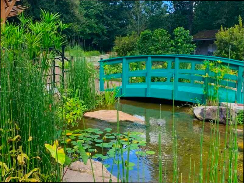 Pros and Cons of Living in Athens GA - 2