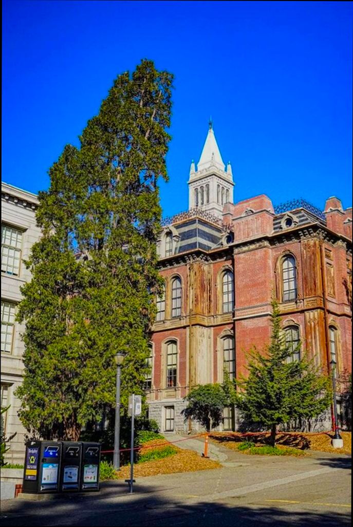 Pros and Cons of Living in Berkeley CA - 1