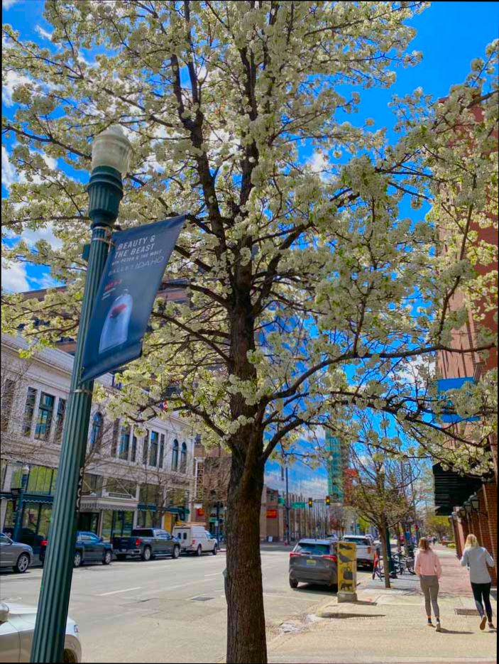 Pros and Cons of Living in Boise ID - 5