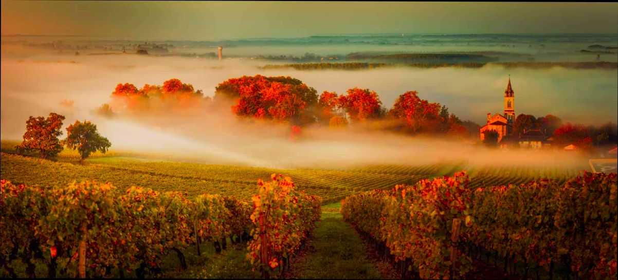 Pros and Cons of Living in Bordeaux France as an Expat - 2