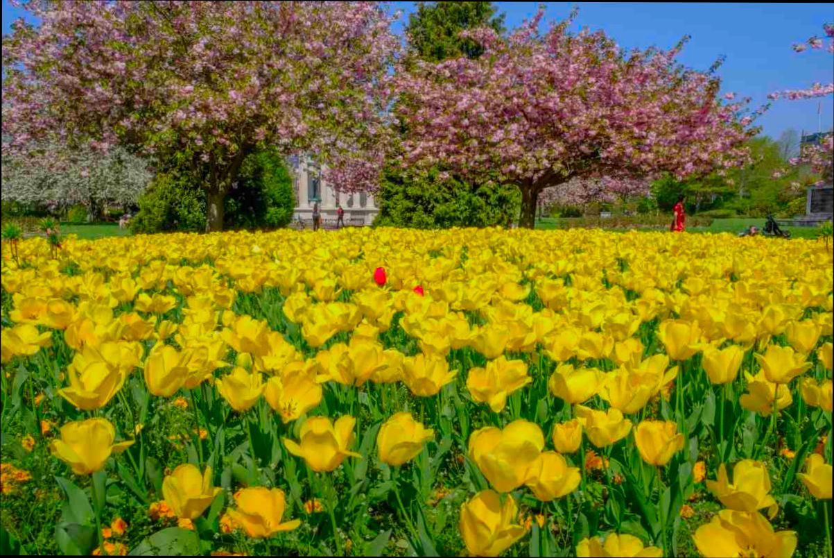 Pros and Cons of Living in Cardiff - 5