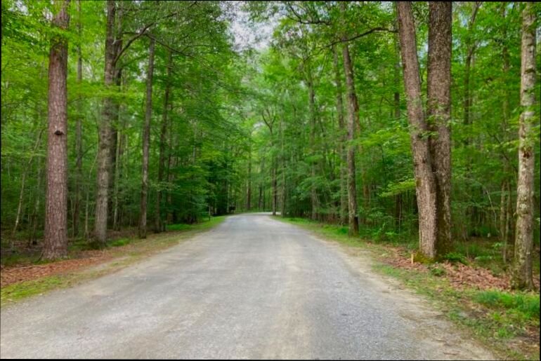 Pros and Cons of Living in Chesapeake VA - 5