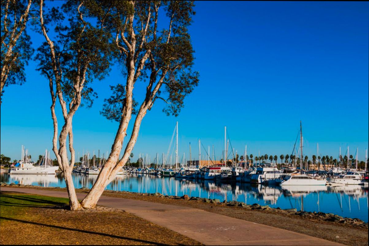 Pros and Cons of Living in Chula Vista CA - 3