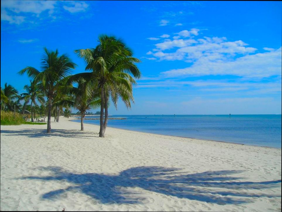 Pros and Cons of Living in Clearwater FL - 6